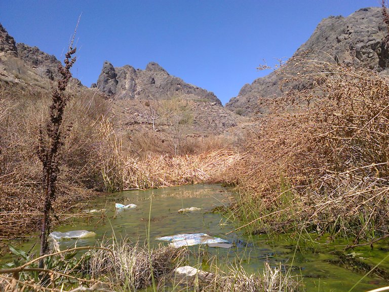 کوهستان کاشمر