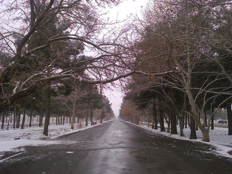 زمستان سیدمرتضی کاشمر